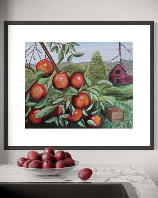 Piedmont Apples, Giclee Print, 11 x 14 Unframed