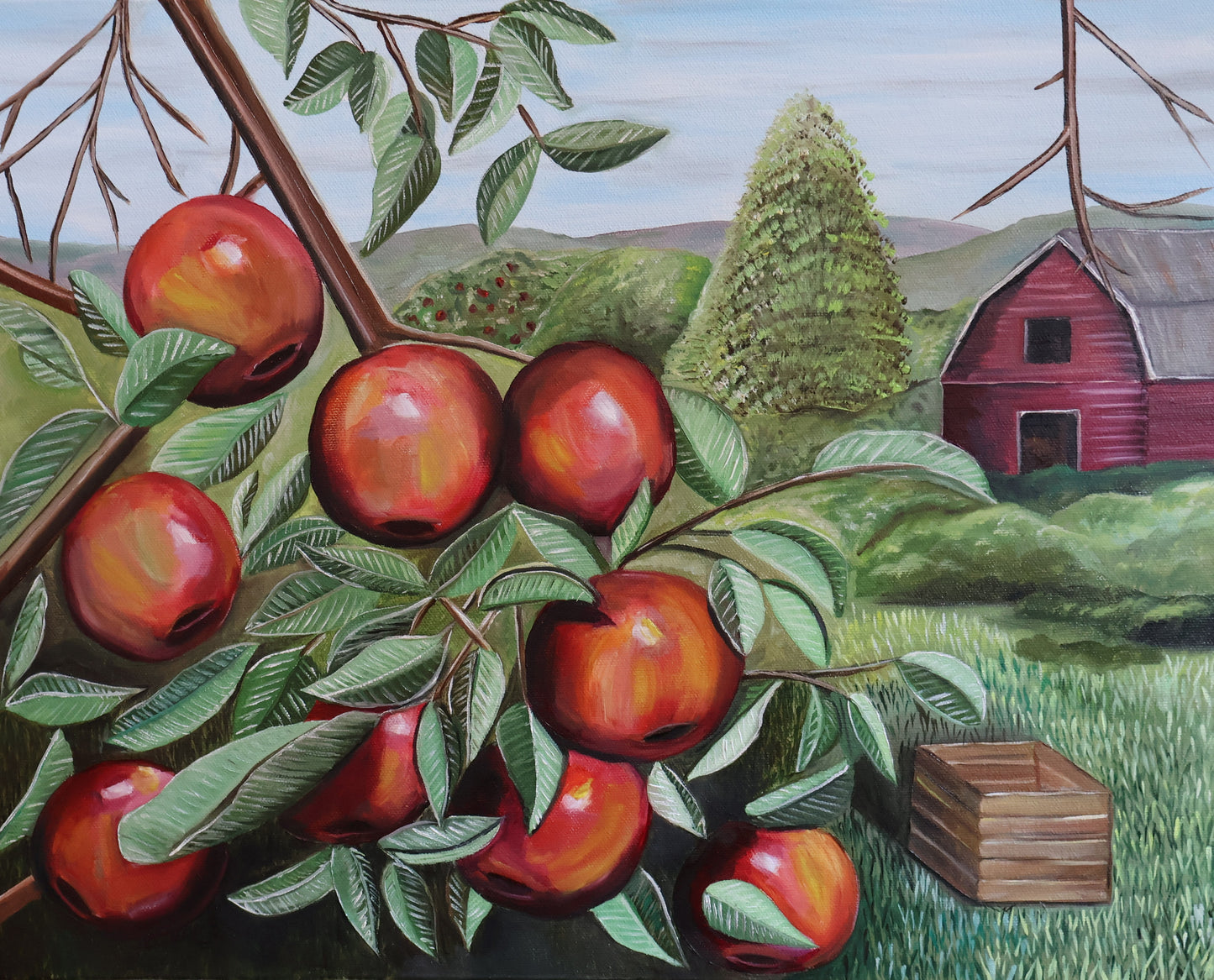 "Piedmont Apples" Oil on Canvas, 16 x 20