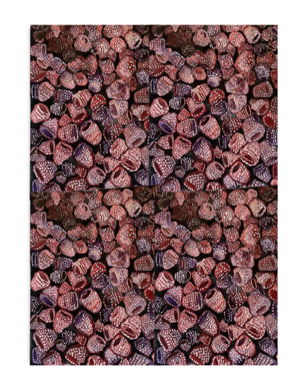 Berries Tea Towel, Cotton 15 x 20- Set of 2