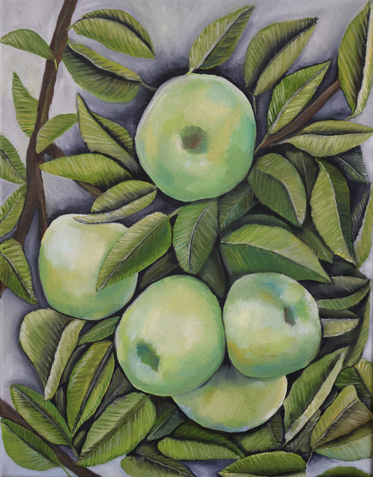 Virginia Apples, Giclee Print 11 x 14, Unframed