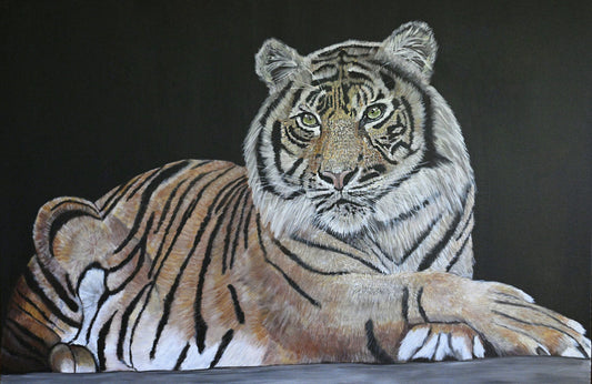 "Tiger King" Acrylic 24 x 36